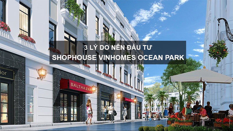 3 Lý Do Nên Đầu Tư  Shophouse Vinhomes Ocean Park