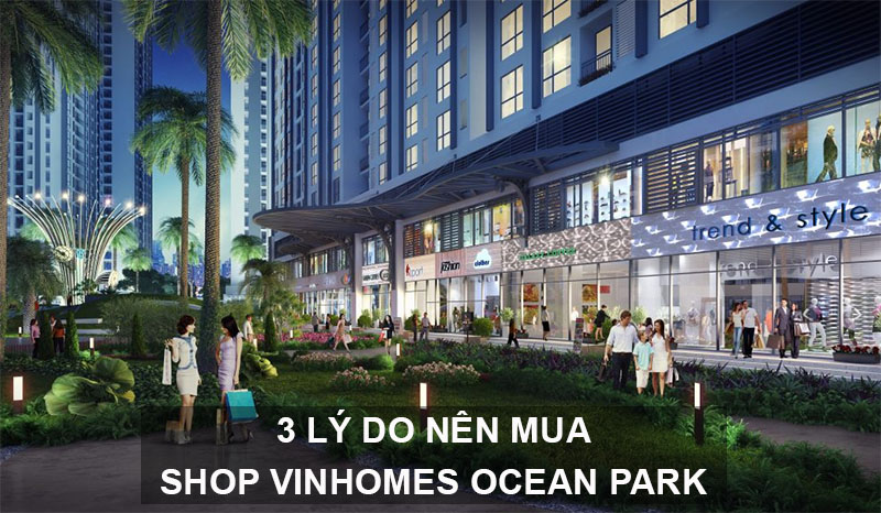 3 Lý Do Nên Mua Shop Vinhomes Ocean Park