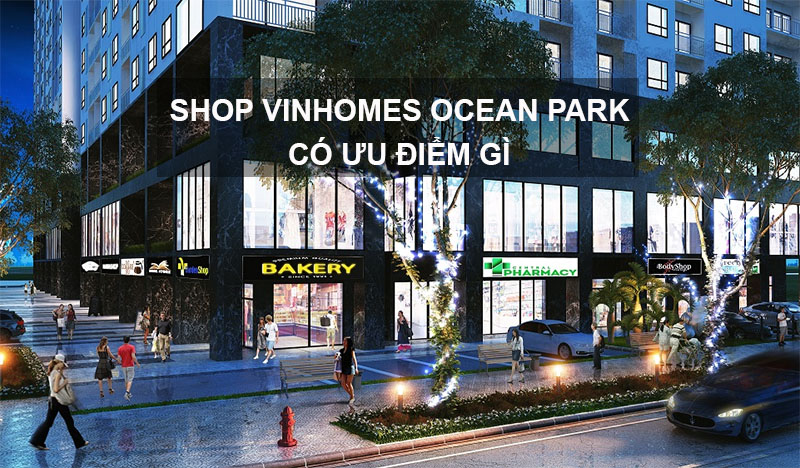 Shop Vinhomes Ocean Park Có Ưu Điểm Gì