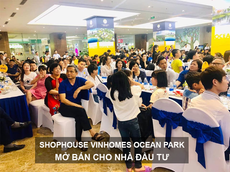 Shophouse Vinhomes Ocean Park Mở Bán Cho Nhà Đầu Tư