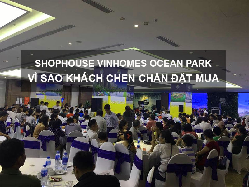 Shophouse Vinhomes Ocean Park - Vì Sao Khách Hàng Chen Chân Đặt Mua